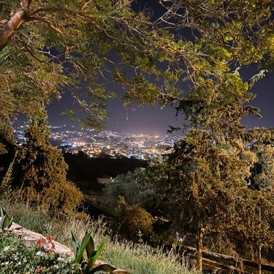 woisver's profile picture. 