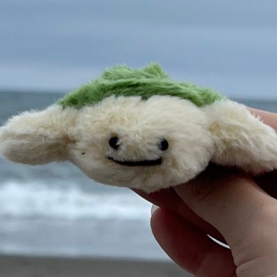 mugs_fish's profile picture. サカナクションアカウントつくりました。魚民歴13年です