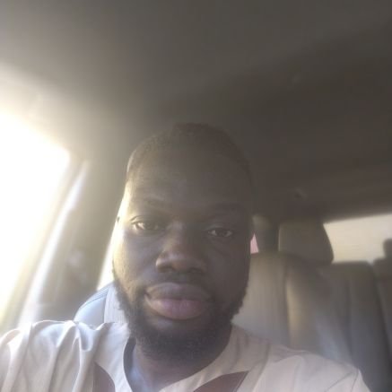 AdeolaAdeyiolu's profile picture. A Visionary and a passionate bussiness man, I'm a Data analyst and also a forex trader