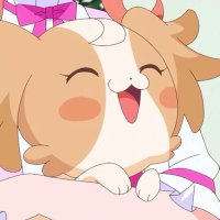 rape💫 (@nt0119nt) 's Twitter Profile