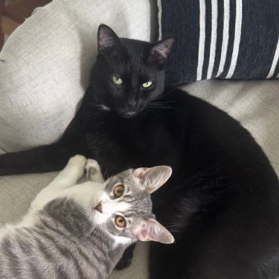 BerryEmily56097's profile picture. 