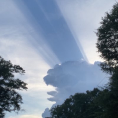 reese3836's profile picture. 