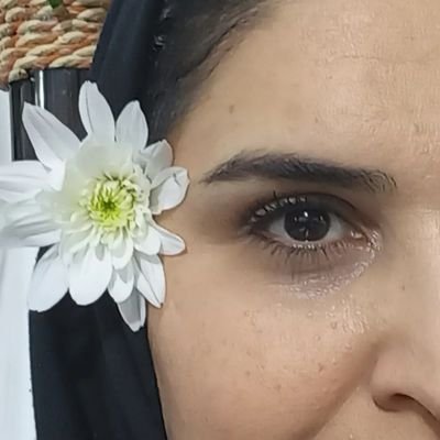 زنیکه هرشب، میمیرد و صبح،ققنوسوار از خاکستر خویش متولد میشود.
💜🪷بنفش رنگ زندگی منه،حتی وقتی تو سیاهیَم🪷💜