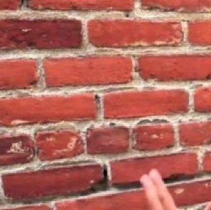 wallisonchain's profile picture. One with God is a Majority | Designer • Yapper • Web3 Enthusiasist • Shill me Alphas