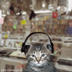 StephanieW15939's profile picture. 