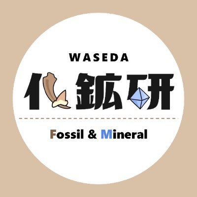 wasedakakoken's profile picture. 早稲田大学公認の自然科学系サークルです / 化石・鉱物の採集・観察を通じて地球の姿を追い求めています / 新2年・新3年・他大生も歓迎! 入会金、年会費はありません