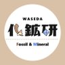wasedakakoken's profile picture. 早稲田大学公認の自然科学系サークルです / 
化石・鉱物の採集・観察を通じて地球の姿を追い求めています / 
新２年・新３年・他大生も歓迎！ / 
入会金・初年度の年会費無料、2年目以降500円です