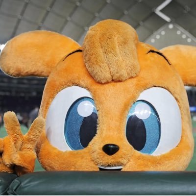 066015_'s profile picture. GIANTS #15 #6 DOBERMAN INFINITY KAZUKI