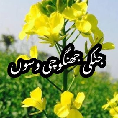 1Punjab
1 Waseb
1 Boli
Chanaabi ❤
کوئی لال گلاب ہووے
ربا تیرے کول آواں
شالا اوتھے وی پنجاب ہووے
https://t.co/IGXCrldoIK