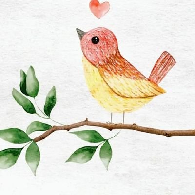 PiscianaDelMar's profile picture. Descubro lo que quiero, aprendiendo de lo que no quiero. Valiente. Imperfecta. Soñadora. Pisciana. Sueño un mundo mejor pero la realidad es cruda. Color. Baile.