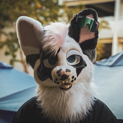 | 26 | Sydney | certified “good” bean🫘| PM friendly | lover of 🚗🏍️🛩️📸 | Telegram @mutt_bean | suit by @zerocruxgiven |NO MINORS 18+!! |