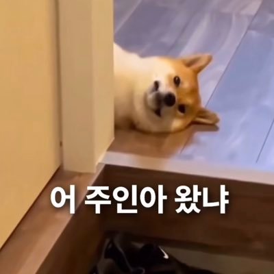 마 니 내 누군지 아니? 구인중인거 아니? 구인중인데 구인일걸? 근데 교류가 더 하고싶어. 날랑 교류해 당장!