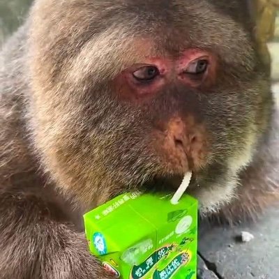 404_keii's profile picture. ❤️