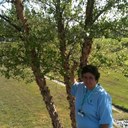 tania bryan - @tania_bryan - Twitter