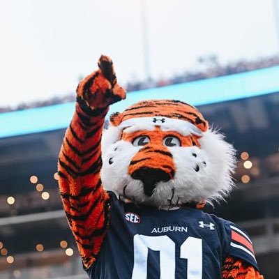 UAuburnFootball's profile picture. War Eagle