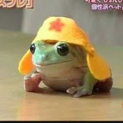 raysighduplicat's profile picture. 