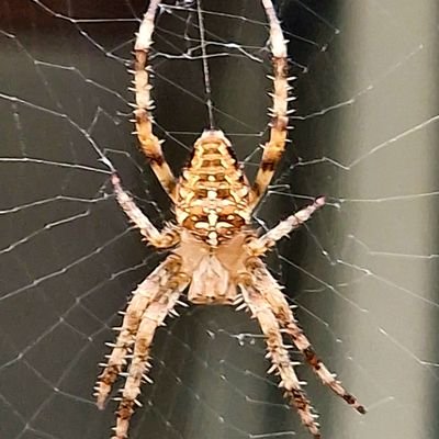 UnVerse1X's profile picture. Chasing geology, stories, adventures, and open roads. Fiction reader, traveller (70+ countries and counting), nature enthusiast, petrolhead, and EV lover.