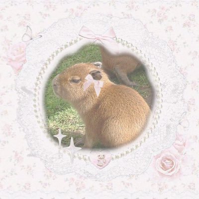 poofy_capie's profile picture. ໒꒰ྀིっ˕ -｡꒱ྀི১ . ⊹˚ 엑소 ⋆ 찬열 ⋆ 백현 ࣪˖ ༘ ೃ࿔*
