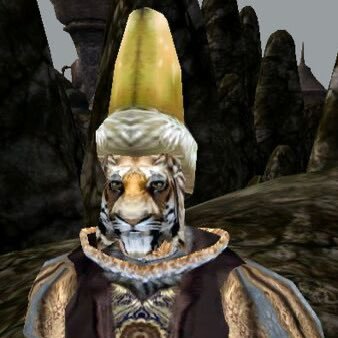 Greetings! M'Aiq knows many things. What is your interest? You seek knowledge. M'Aiq has much. Some of it verified by actual facts!