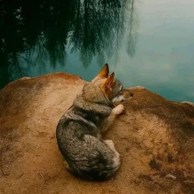 lahadylahadi's profile picture. 