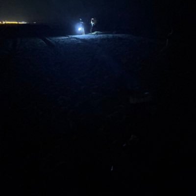 PizzaBa78693221's profile picture. 