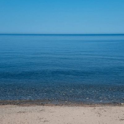 Mertt409's profile picture. typescript