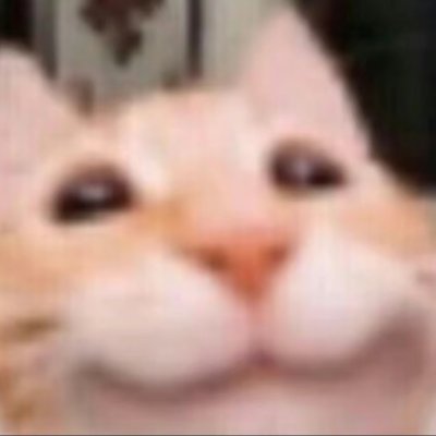 Self19981030's profile picture. 