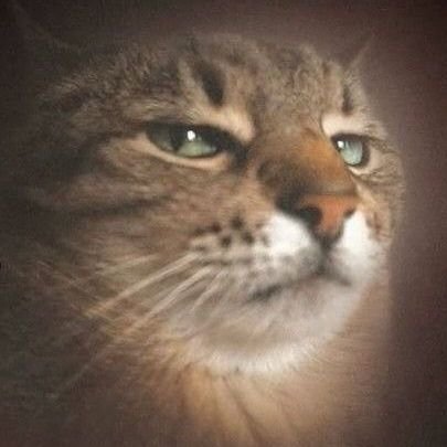 papiliochew's profile picture. semua aku dirayakan 🦖🦖🦖