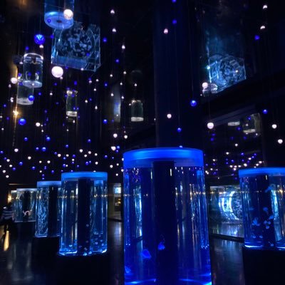 aiyy_co's profile picture. 