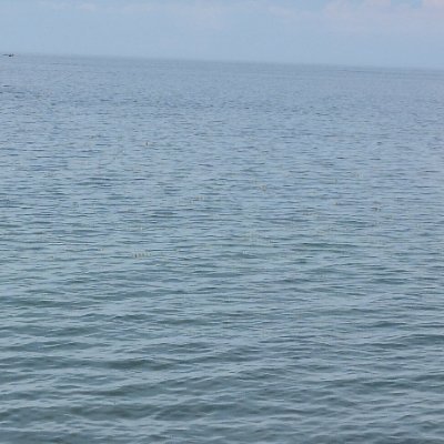 It_iz_Zayd's profile picture. Follow my bluesky
https://t.co/eWZsc5p2E9