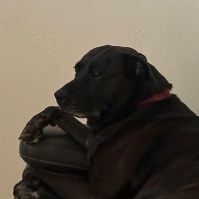 ShonerGeorge's profile picture. Remember. Bad decisions make for the best stories. 😎 Please no DMs. If you know me you know how to reach me.