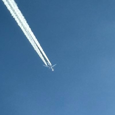 pilotproject320's profile picture. ✈️ Airline pilot, part-time philosopher. Currently flying through life on reduced thrust. Looking for meaning at FL350 and better coffee at ground level.