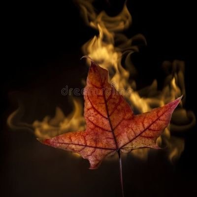 My mom and dad literally fucked me into existence in the Great WHITE North.
I fucking hate Liberals.