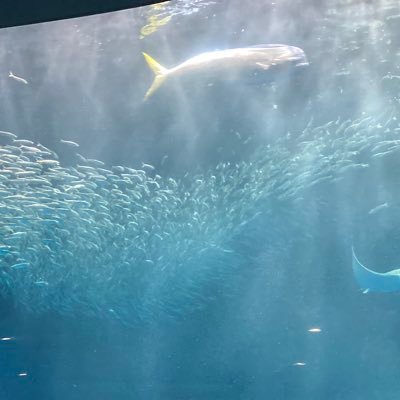 2_GAT_123's profile picture. 