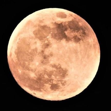 fx722fH3q934077's profile picture. 日常の📮