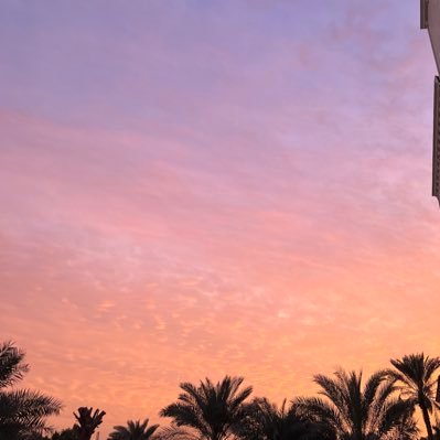 Awwm98's profile picture. 