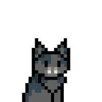 Creative Cats MeowVerse (@meowversesol) 's Twitter Profile