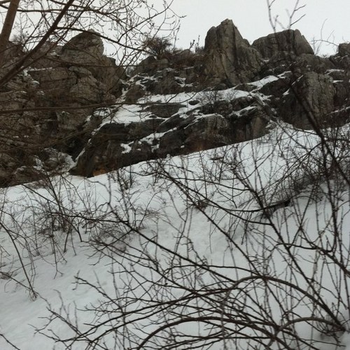 MAteeqi's profile picture. 