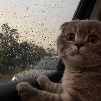 What is going, is going.
﴿ تَوَفَني مُسلِمًا وَأَلحِقني بِالصّالِحينَ﴾