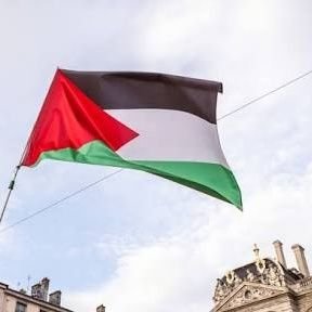 🧕🙏
poétesse
Paris
#I_AM_NIMR
#StopGenocideInGaza🇵🇸🇮🇷🇱🇧🇾🇪🇮🇶🇸🇾🇧🇭