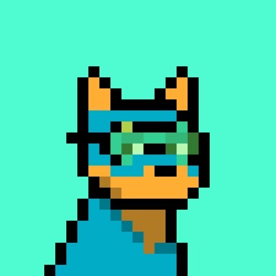 DanMetaxy's profile picture. cash flow guide for sme | micro & macro finance | ₿ Bitcoin & crypto | Forza #SGE @doginaldogsx