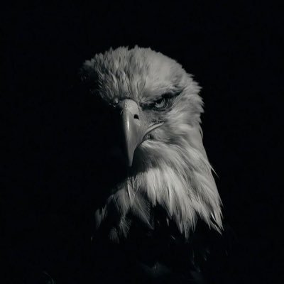 duchmarszalka's profile picture. Porzućcie wszelką nadzieję, wy, którzy tu wchodzicie.🇵🇱