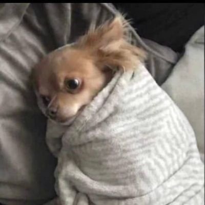 ChukwuaniD02's profile picture. 