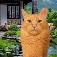 CoolSeraphim's profile picture. Seraphim
Helo
i block lolicons aka pedophiles