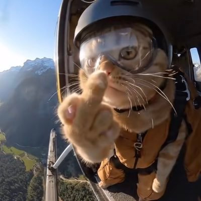 TismaaaST's profile picture. homme de l’année