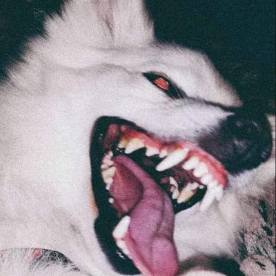 @imhrzy