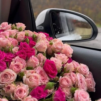 solen_ly's profile picture. 