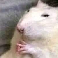 @Bytrix0