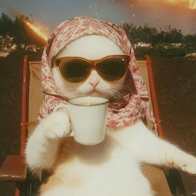 noblessesol's profile picture. Alhamdulillah. 
ICT TRADER 🐐