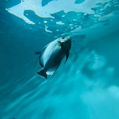 ma96998396's profile picture. 無言フォロー失礼します。